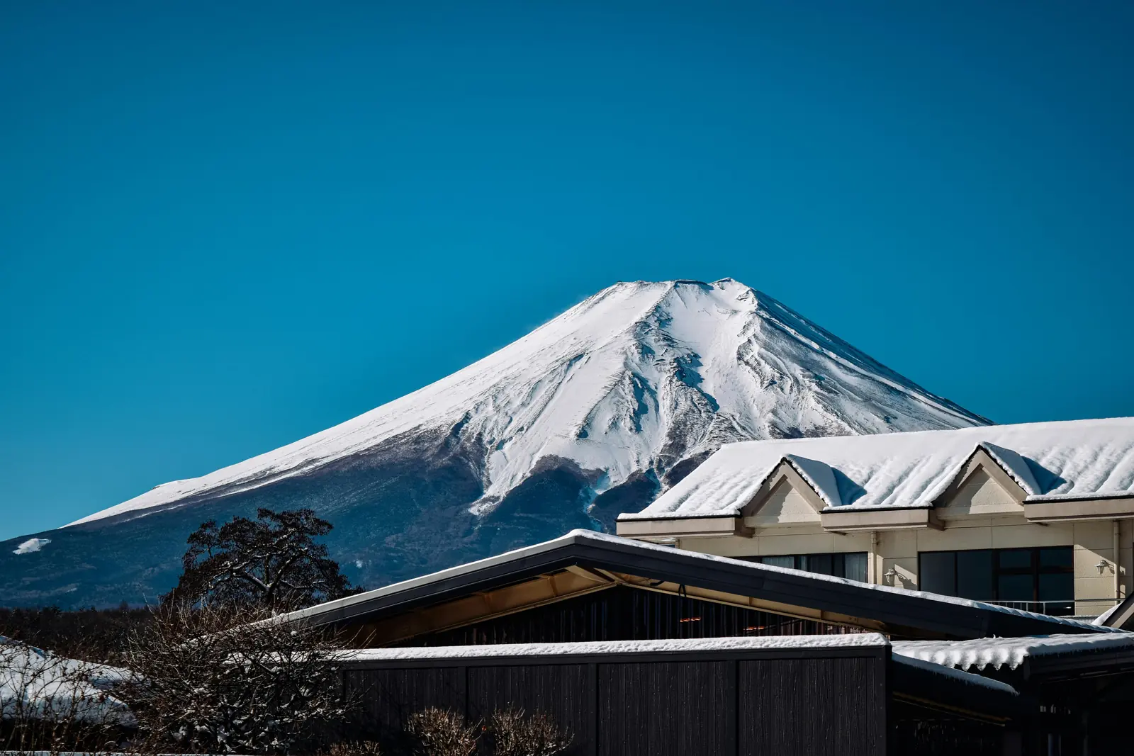 Monte Fuji y paisaje japonés